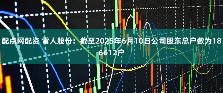 配点网配资 雪人股份：截至2025年6月10日公司股东总户数为186612户